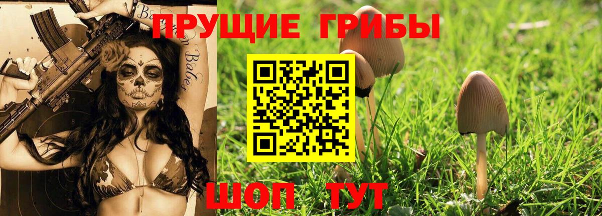 Псилоцибиновые грибы GOLDEN TEACHER  Вход с VPN  Елец 