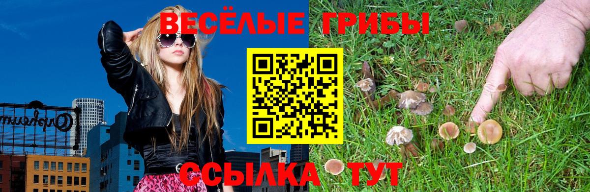 Псилоцибиновые грибы Magic Shrooms Елец